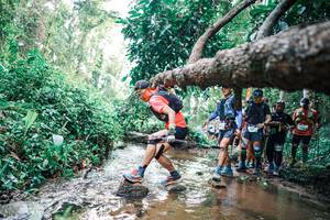 BIB: 
                            <button type="button" onclick="openModal(25372035)" class="btn btn-primary btn-sm float-right btn-popup" data-toggle="modal" data-target=".modal-high-quality">
                        <i class="fas fa-shopping-cart"></i> Add to Cart
                    </button>
                                            <button type="button" onclick="isThisMe(25372035, true)" class="btn btn-success btn-sm float-right btn-popup btn-isme hidden" data-toggle="tooltip" data-placement="bottom" title="นี่คือรูปของคุณใช่ไหม คลิกที่นี่เพื่อเอาเข้าอัลบั้ม">
                        <i class="fas fa-plus"></i> Add to album
                    </button>
                    <button type="button" onclick="isThisMe(25372035, false)" class="btn btn-warning btn-sm float-right btn-popup btn-isnotme hidden">
                        <i class="fas fa-ban"></i> Remove from album
                    </button>